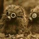 ЁЖИКИ В ПРОТИВОГАЗАХ.jpg