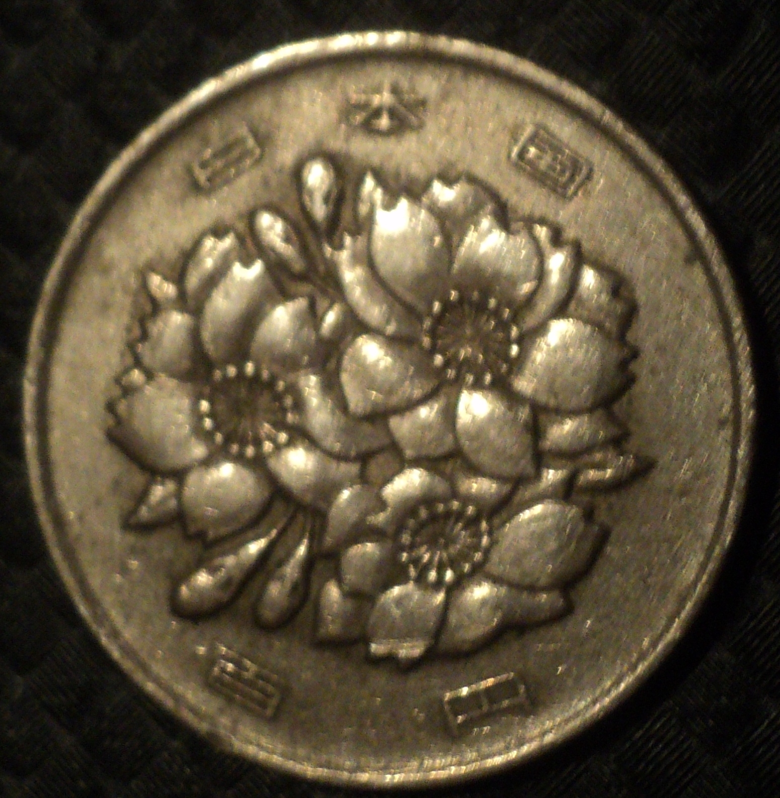 100 решка.jpg