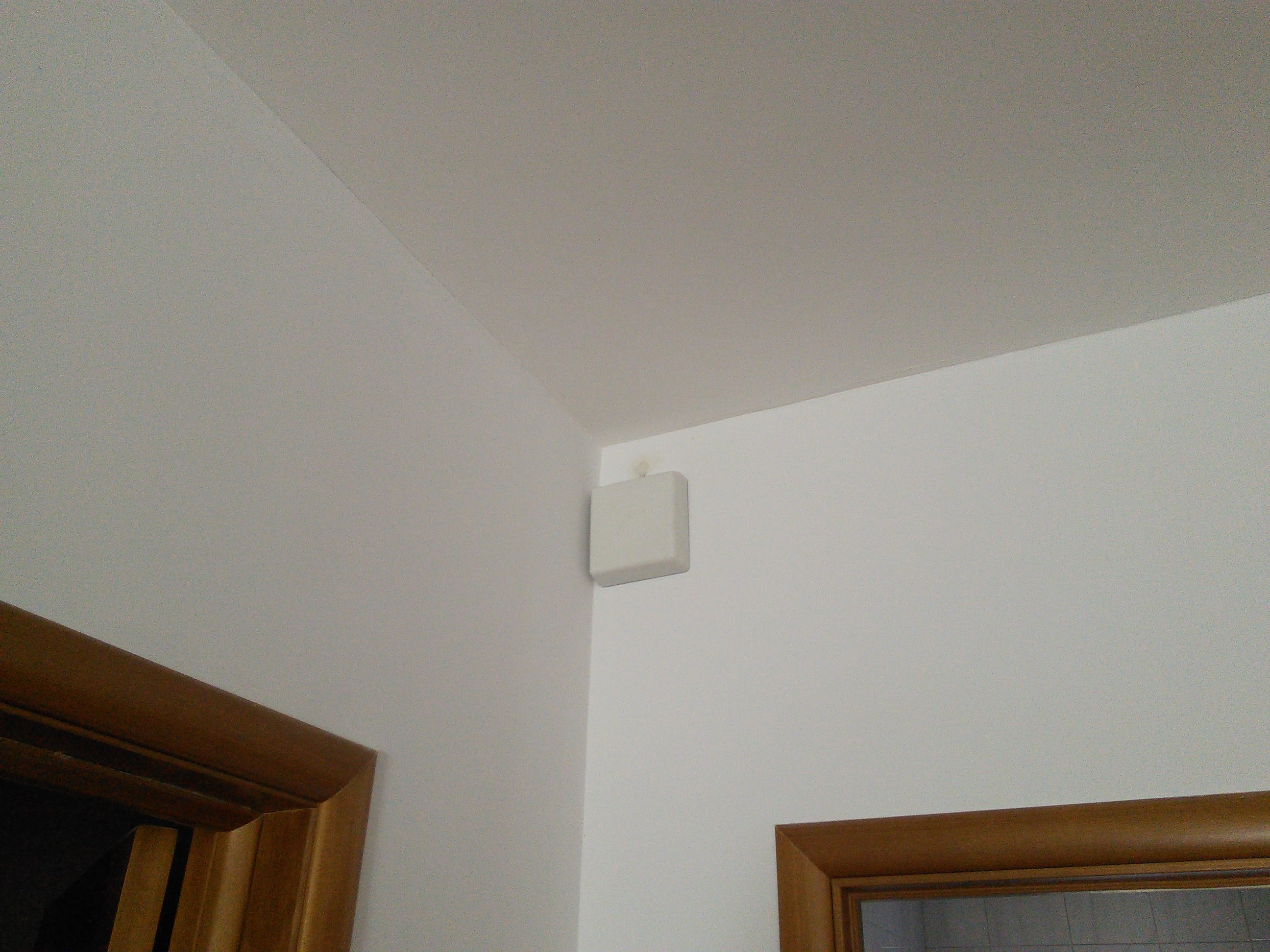 IMG_20170831_153316.jpg
