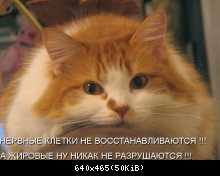 1298498066 15