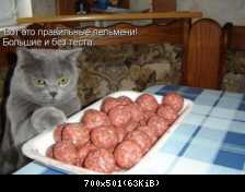 1298508112 b8e66a587919