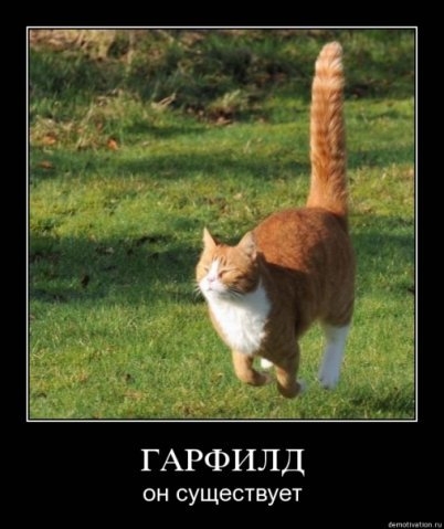 Гарфилд.jpg