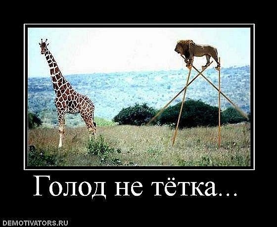 Голод.jpg