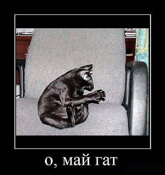 ОМГ.jp