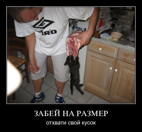 кусок мяса.jpg