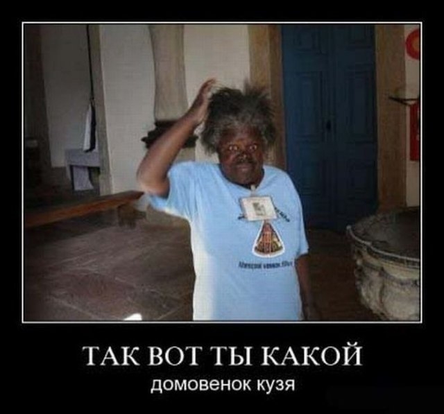 кузя.jpg