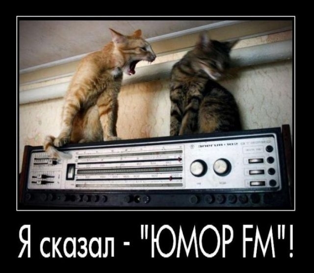 Юмор-FM.jpg