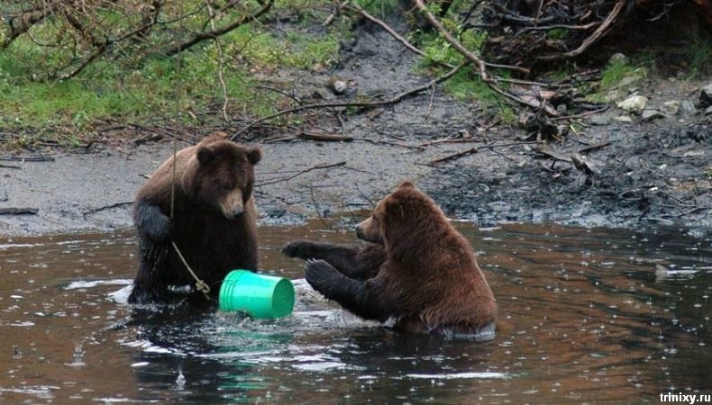 Хороша купель...Михалыч, дай плеснуть.