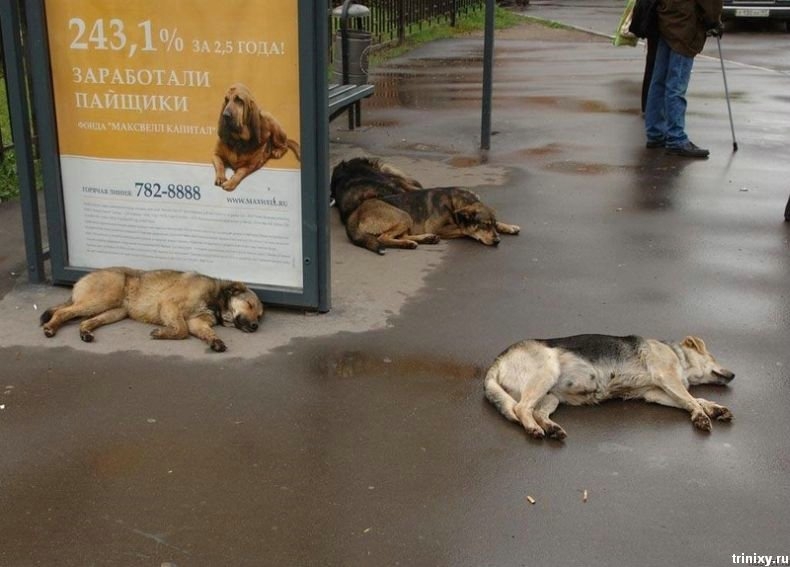 Реклама и реальность