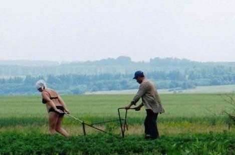 Будни сельского хозяйства.