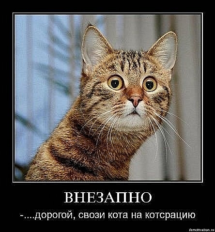 Немножко юмора