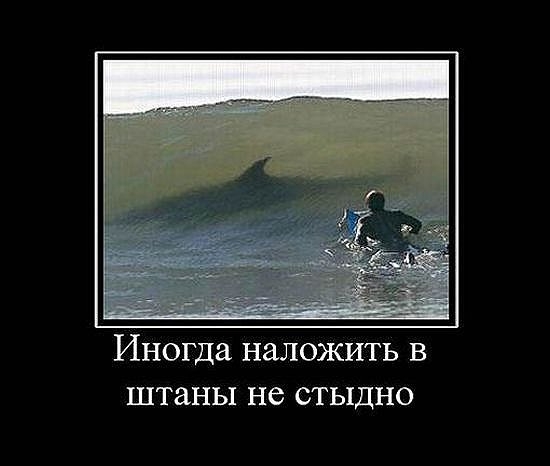 Не стыдно