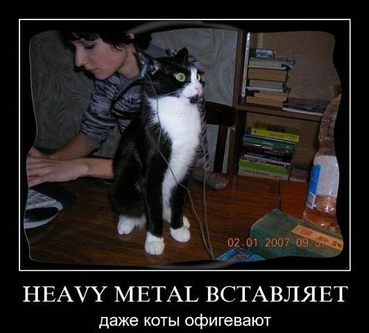Хэви метал вставляет!