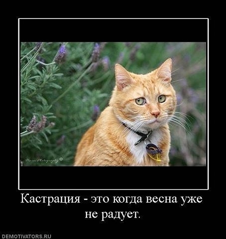 Весна