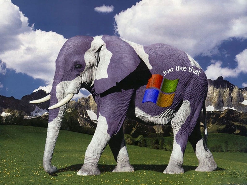 Windows 7 мax