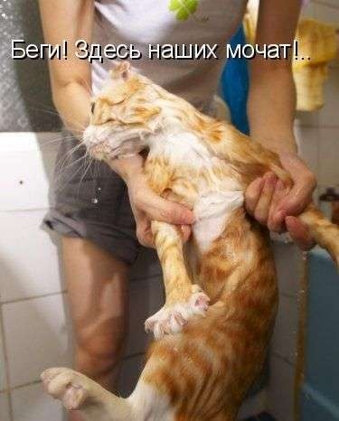 Наших мочат!