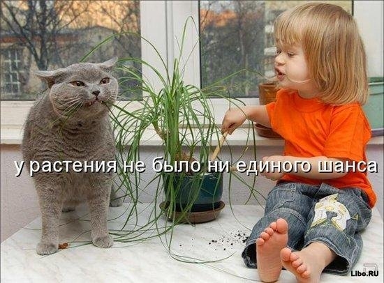 нет спасения.jpg