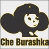 Че Гевара-Че Бурашка