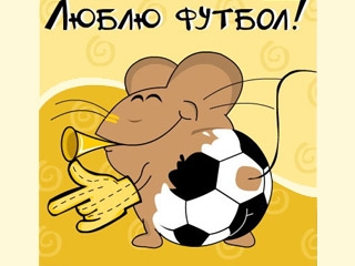 Люблю футбол
