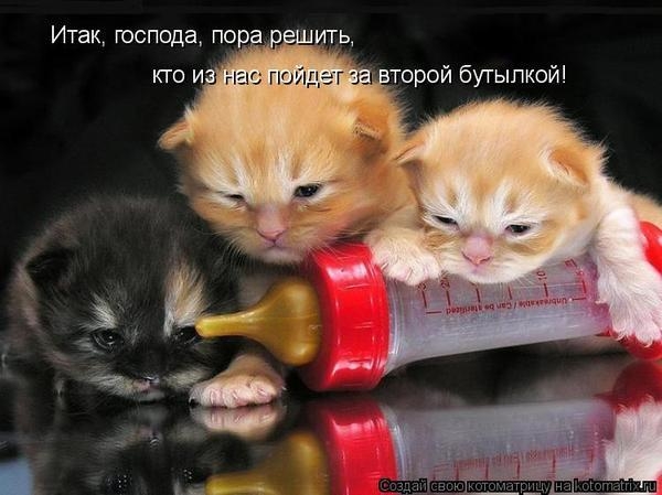 алкашики