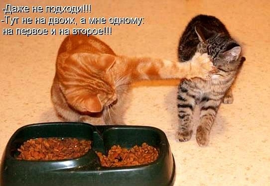 природа