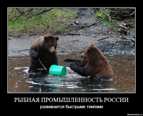 Русские демотиваторы!5