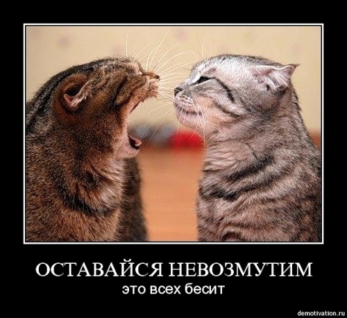 Русские демотиваторы!10