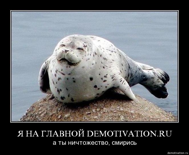 Русские демотиваторы!!!6