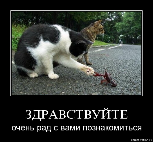 Русские демотиваторы!!!!7