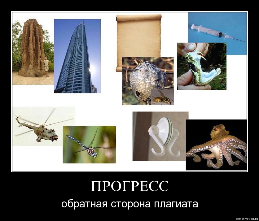 Руссикие приколы5