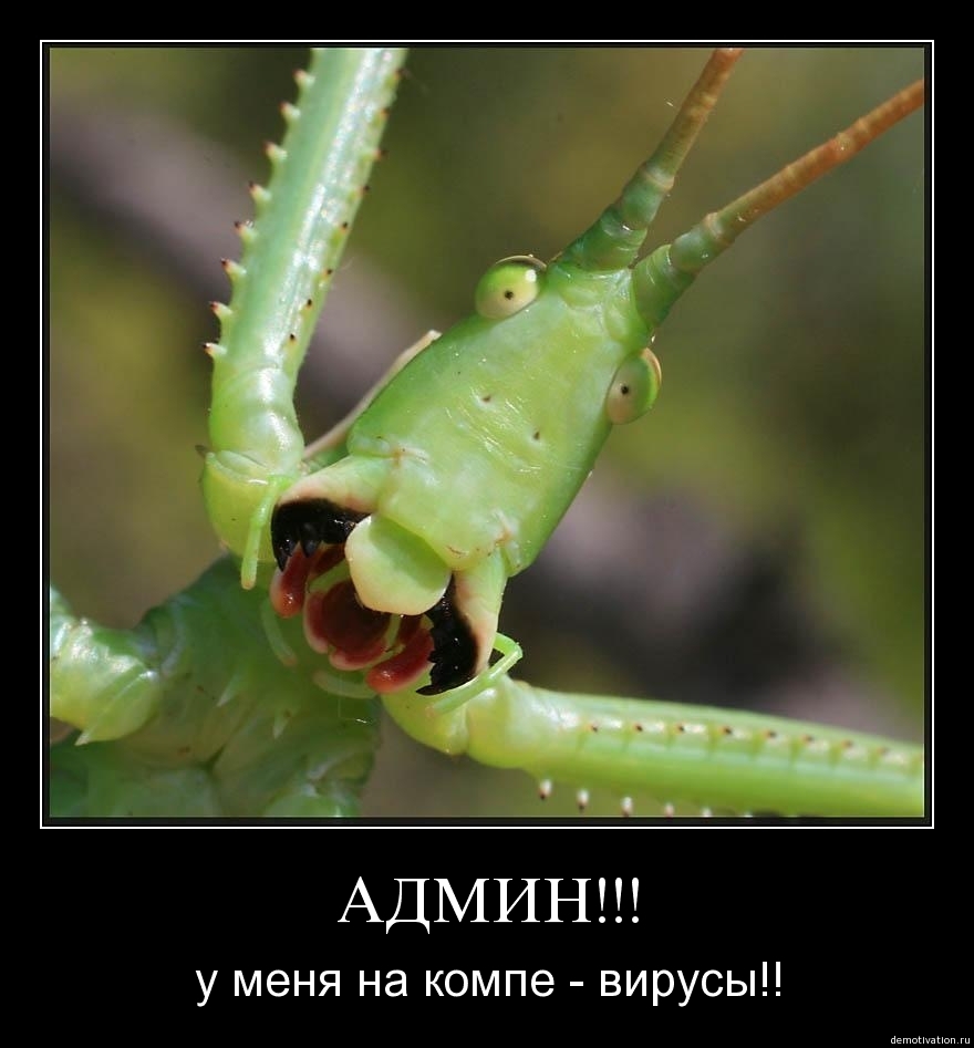 Русские приколы!3
