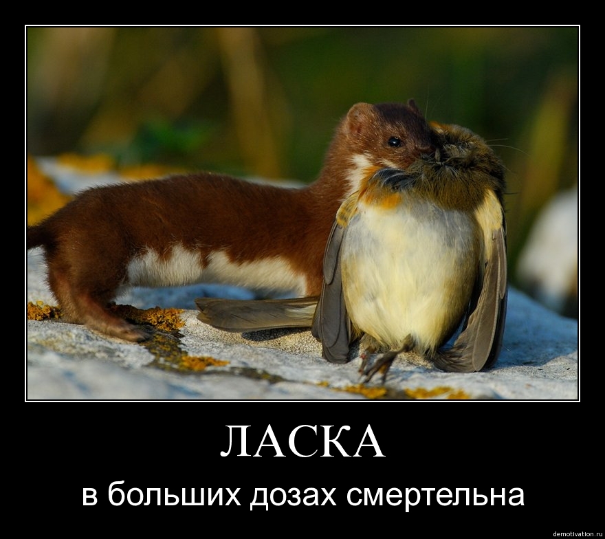 Русские приколы!7