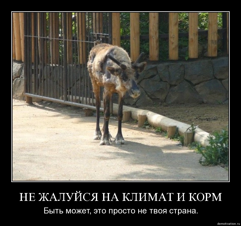 Русские приколы!8