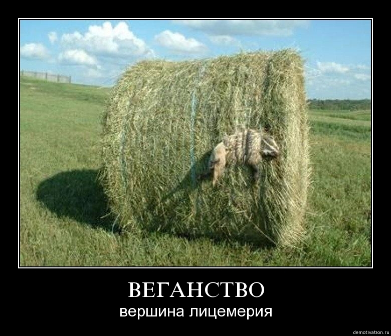 Русские демотиваторы 18
