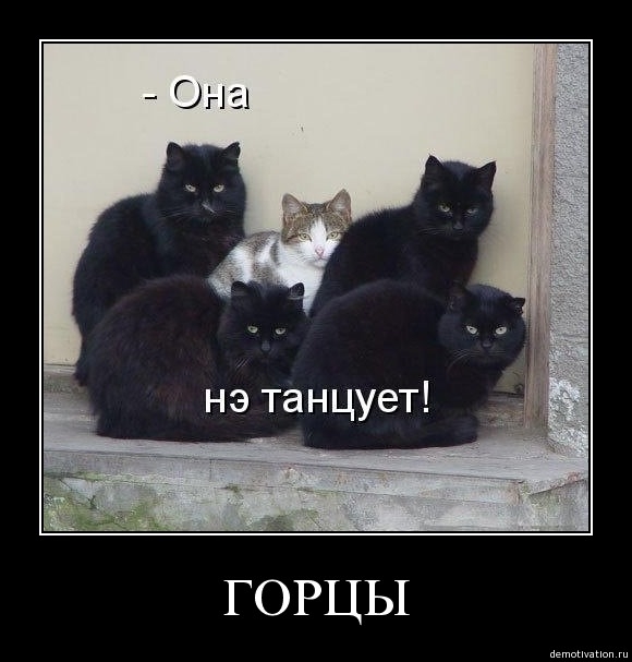 Демотиваторы!5
