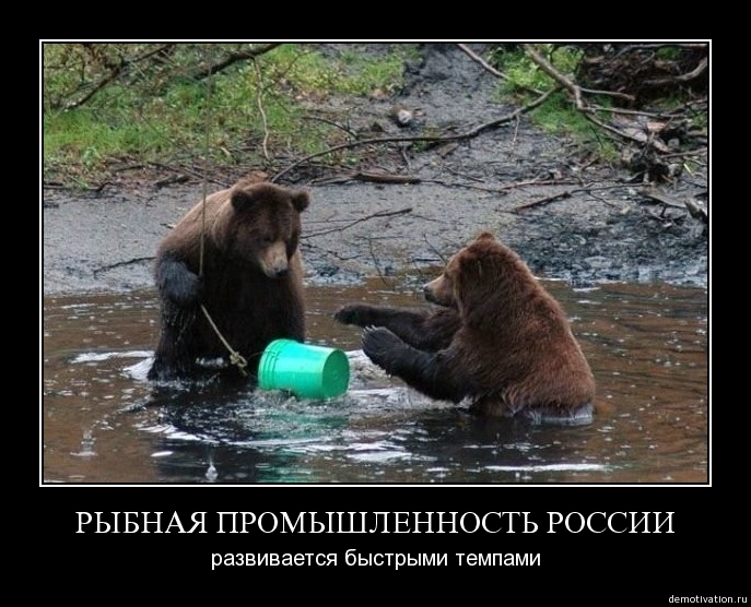 Демотиваторы!10
