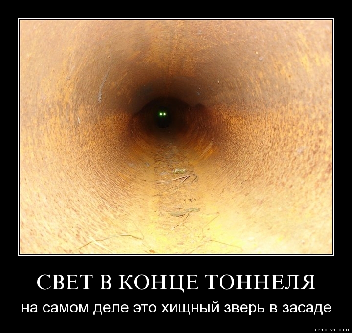 Демотиватор13