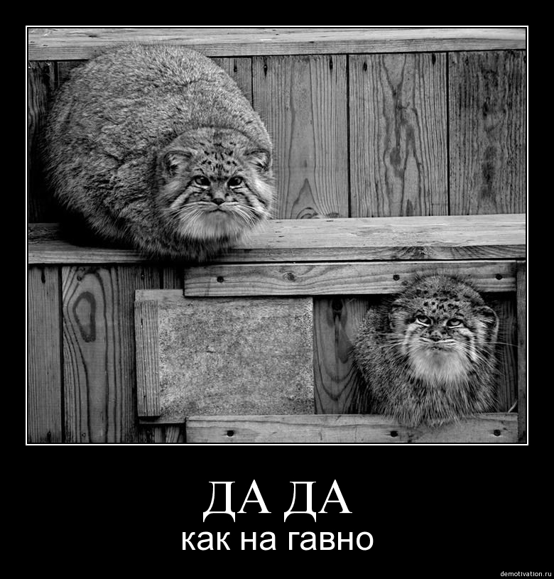 Демотиватор 22