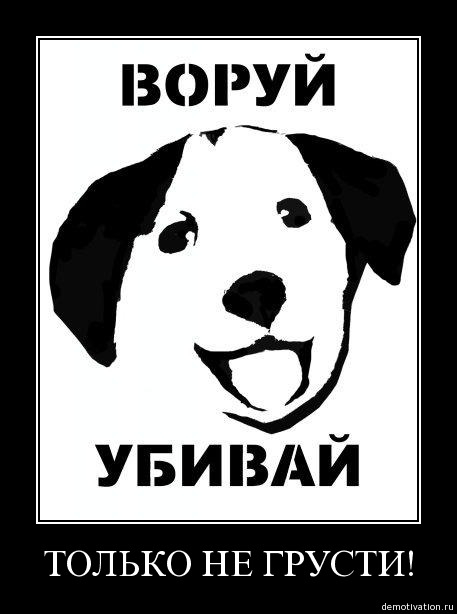 Демотиватор 210