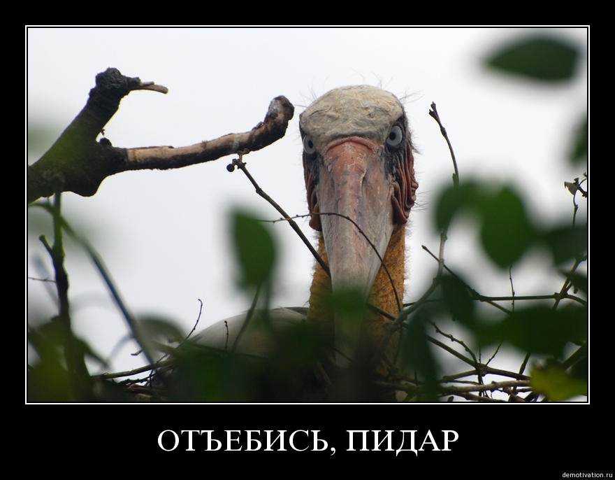 Демотиваторы34