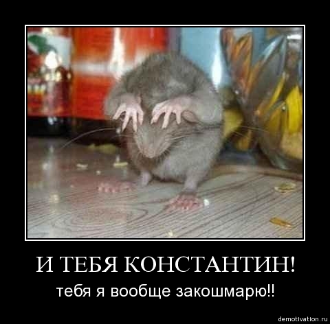 Демотиваторы38