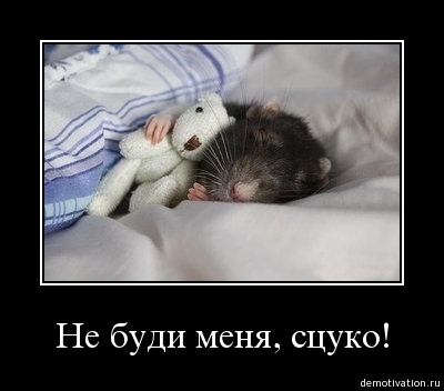 Демотиваторы39