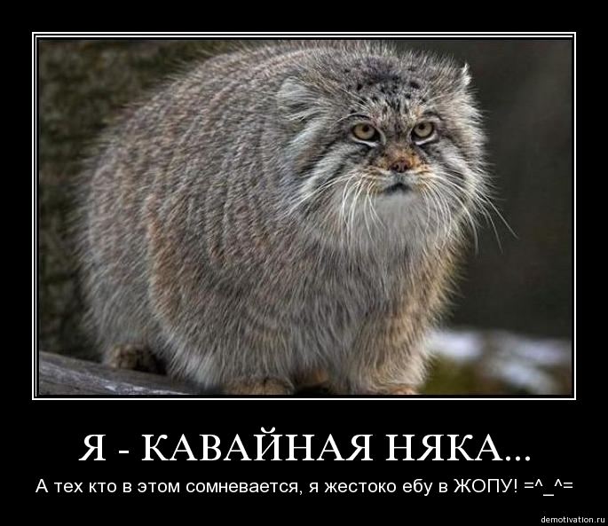 Демотиваторы 44