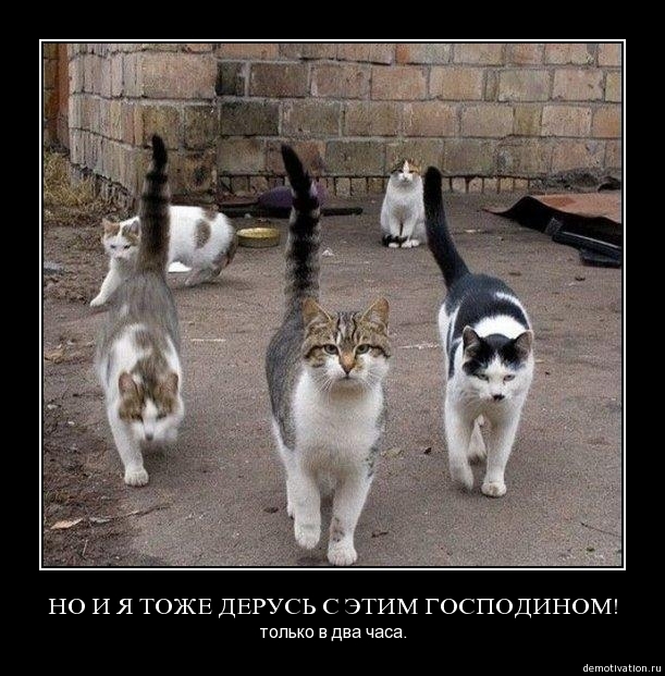 Демотиваторы 45