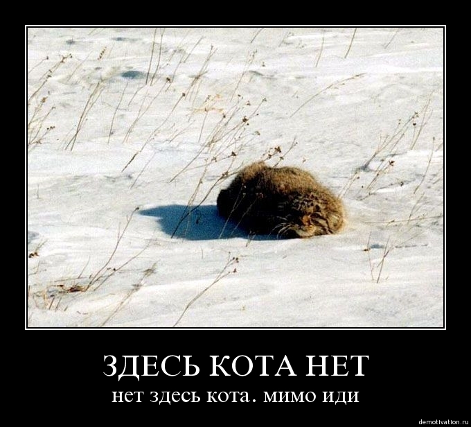 Демотиваторы 46