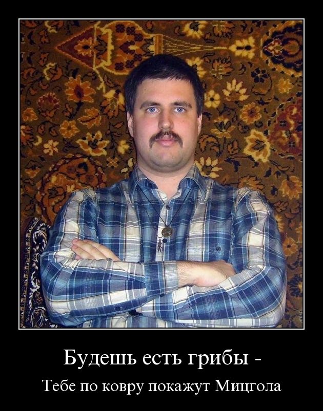 Демотиваторы 41