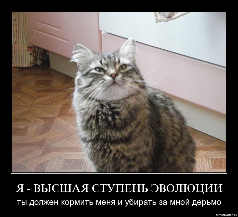 Демотиваторы 48