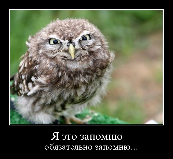 Демотиваторы 63