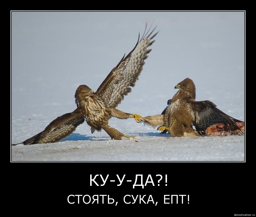 Демотиваторы 69