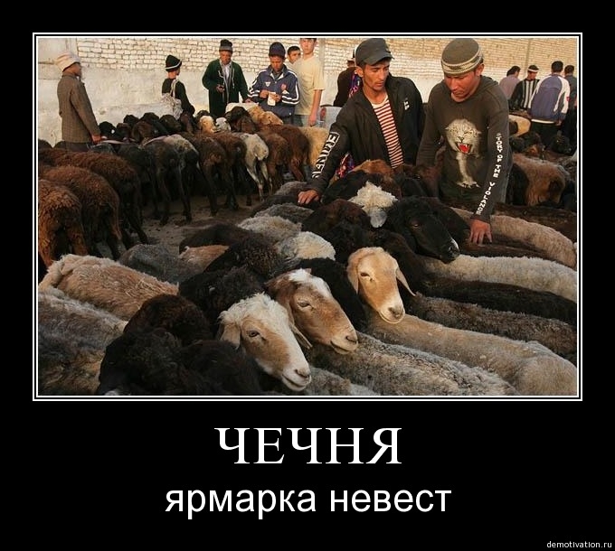 Демотиваторы79